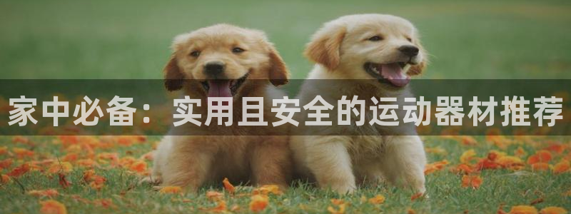 fb体育招商电话地址是多少：家中必备：实用且安全的运