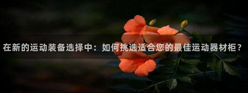 fb体育娱乐