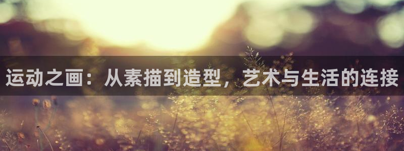 fb体育平台注册流程视频：运动之画：从素描到造型，艺