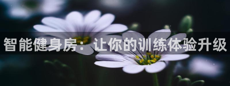 fb体育代理：智能健身房：让你的训练体验升级