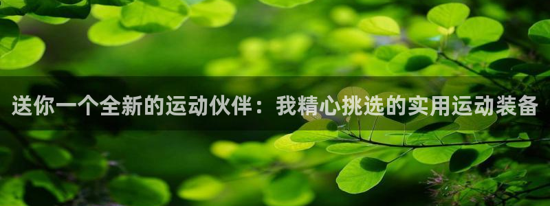 海南fb体育：送你一个全新的运动伙伴：我精心挑选的实