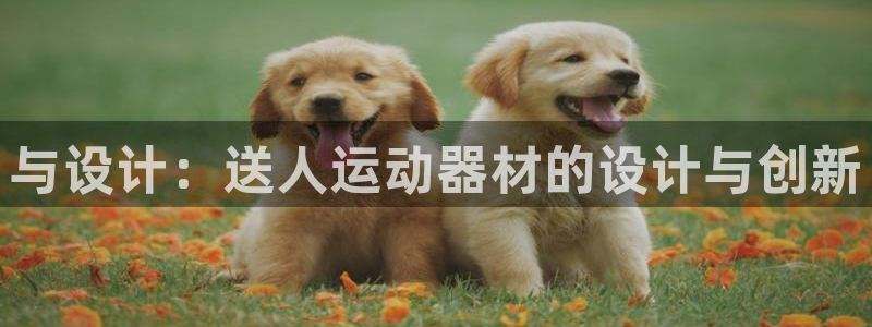 fb集团官网：与设计：送人运动器材的设计与创新