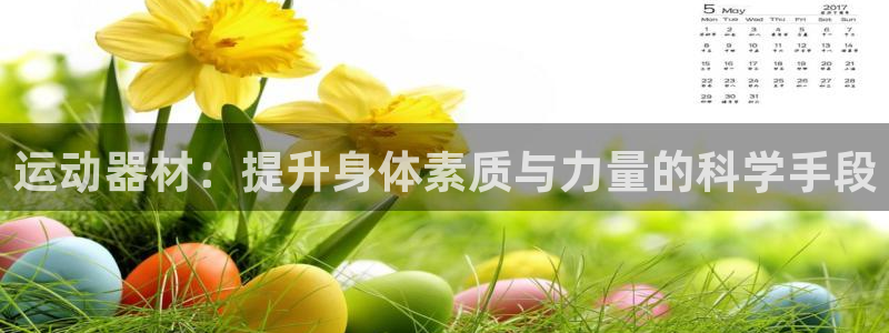 fb体育娱乐